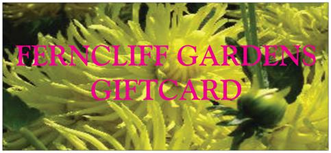 FERNCLIFF GARDENS GIFT CARD